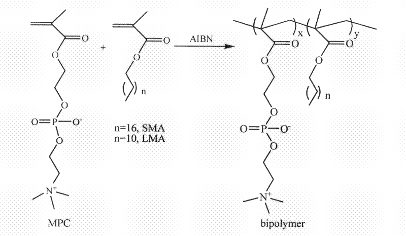 Preparation method of nano micellar solution of polymer with simulated cellulosa membrane structure