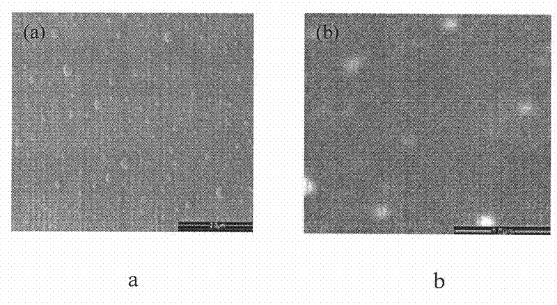 Preparation method of nano micellar solution of polymer with simulated cellulosa membrane structure