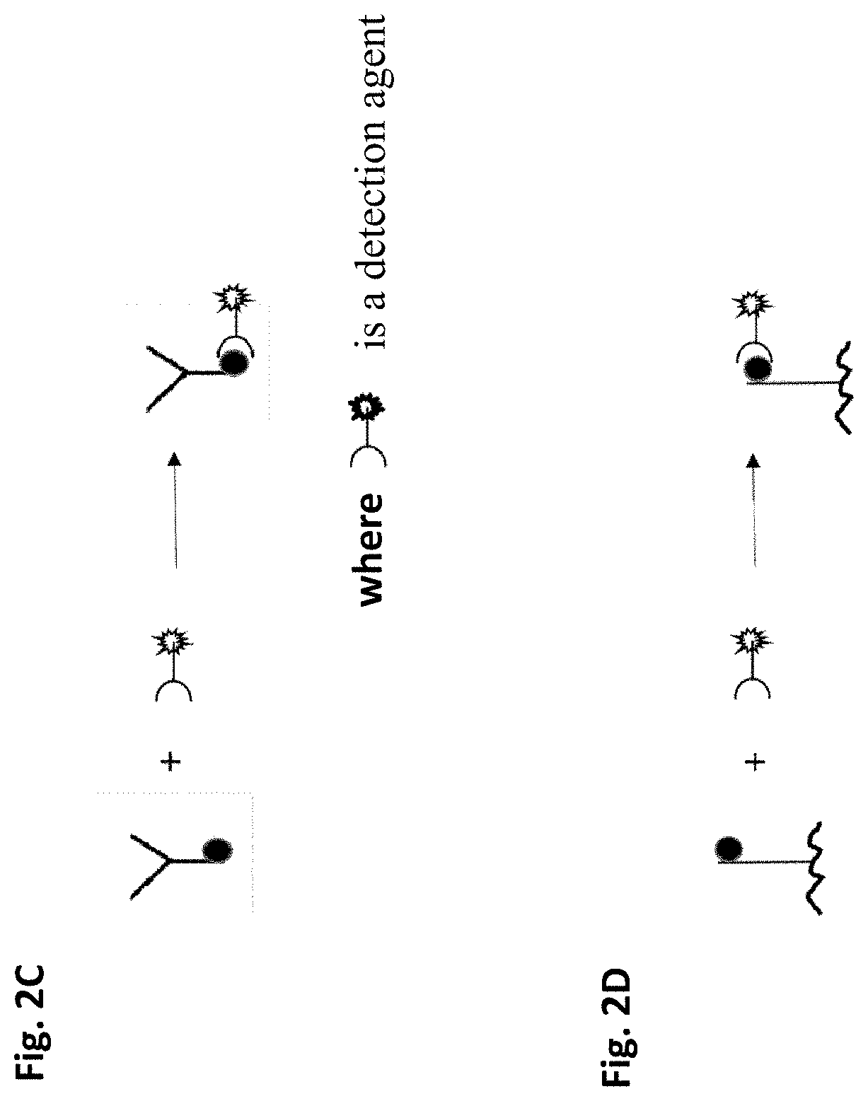 Method of removing non-specific binding signals using microparticle assay