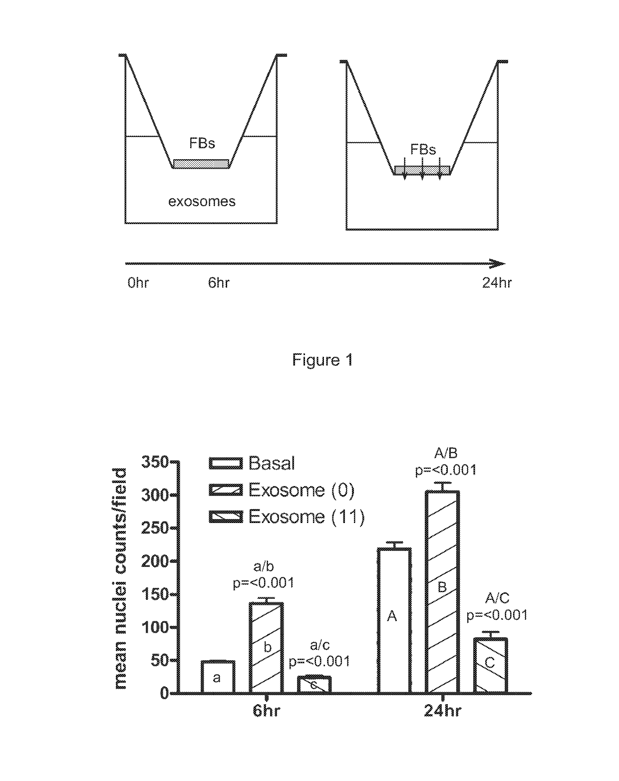 Stem cell microparticles and miRNA