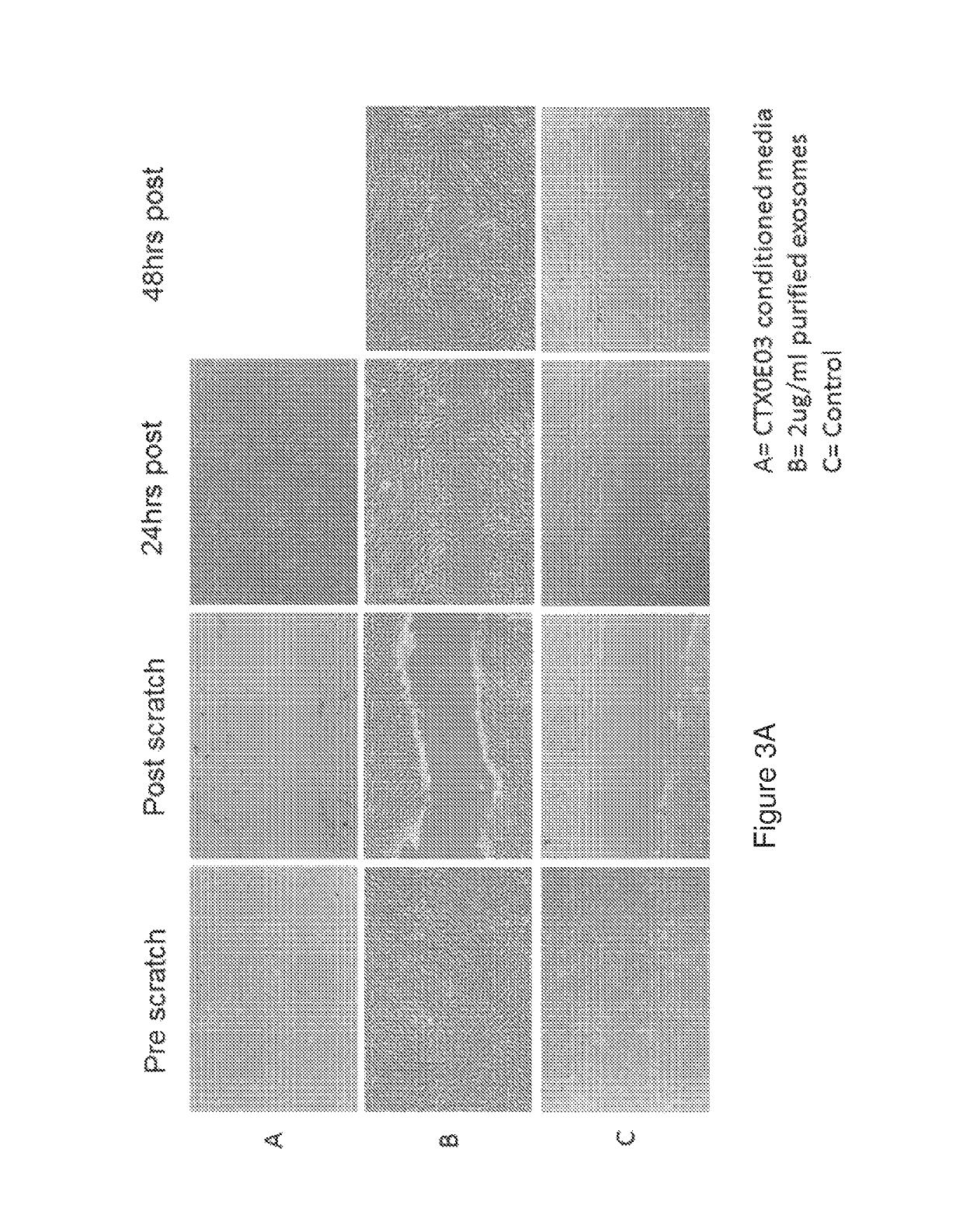 Stem cell microparticles and miRNA