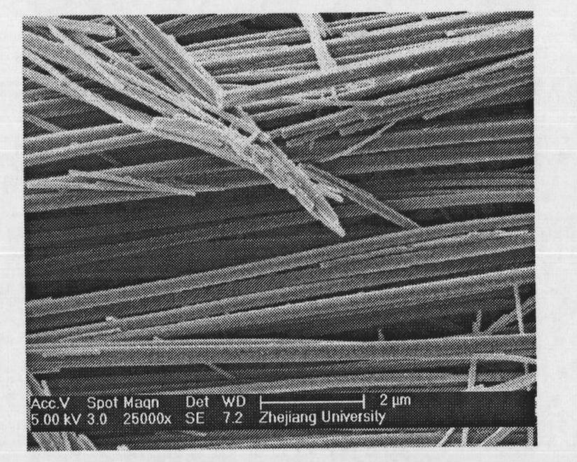 Lead titanate nanotube with one-dimensional crystal structure and preparation method thereof