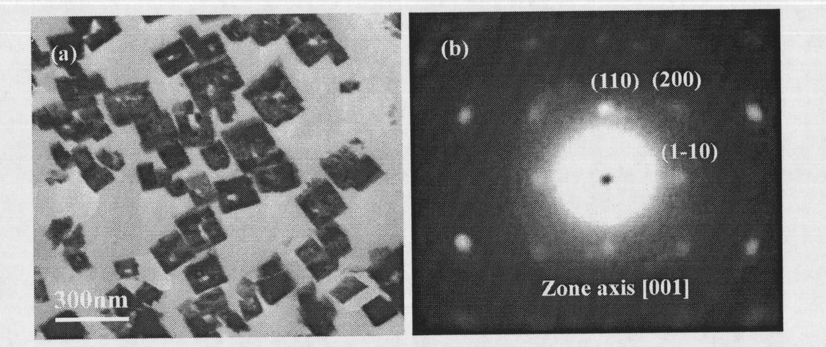 Lead titanate nanotube with one-dimensional crystal structure and preparation method thereof