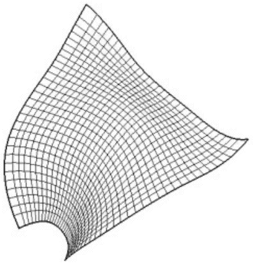 Meshing method for free-form surface mesh structure