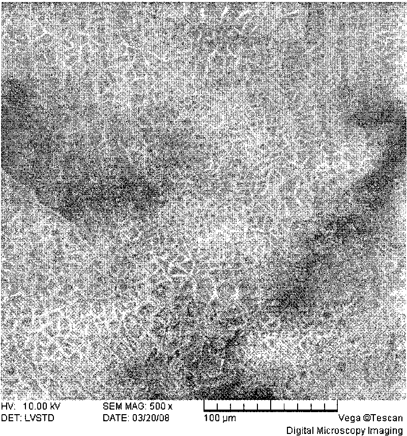 Surface treatment method for magnesium and magnesium alloys