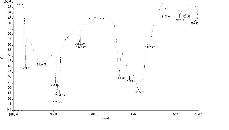 Surface treatment method for magnesium and magnesium alloys