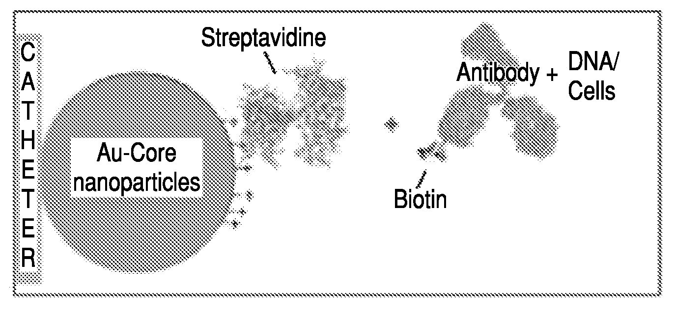 Diagnostic-nanosensor and its use in medicine