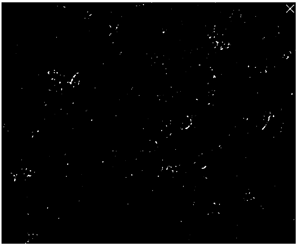 Directional EPC (endothelial progenitor cell) sample cell, preparation method and application