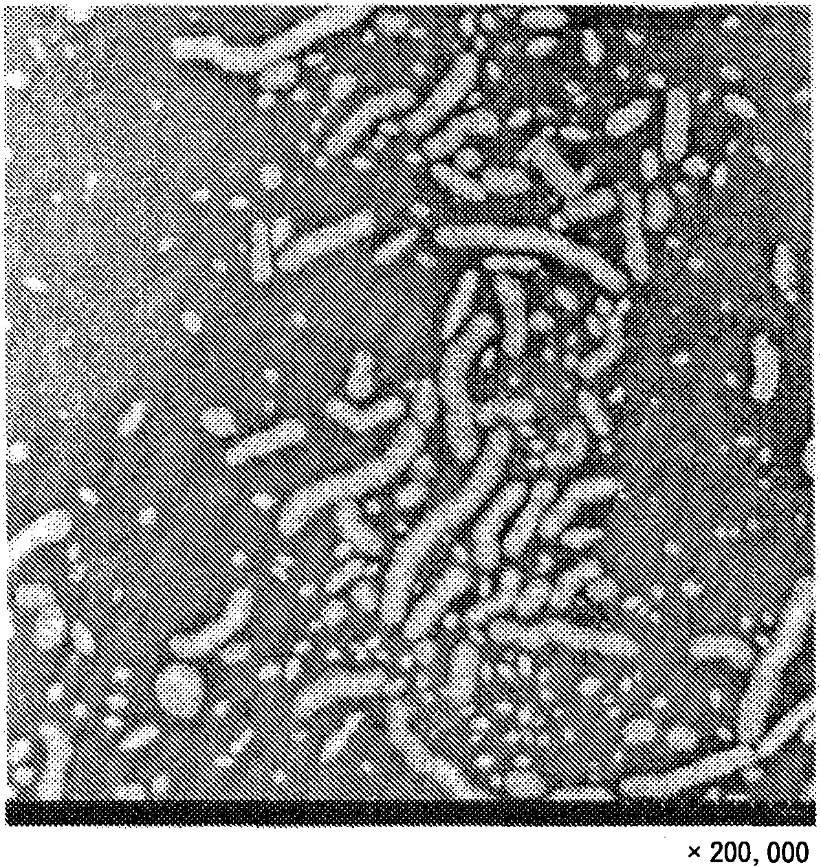 Polyolefin polymer having polar group, method for production thereof, and water dispersion material and mold release agent composition