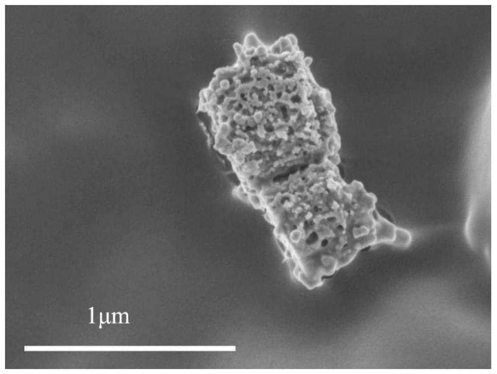 TEMPO-pretreated nanocellulose-cuprous oxide/silver micro-nano structure composite material as well as preparation method and application thereof