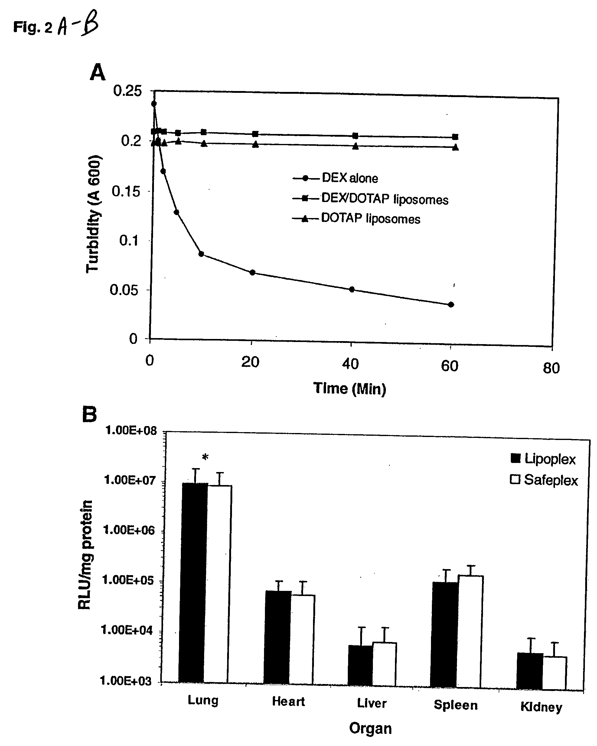 Liposomal vectors