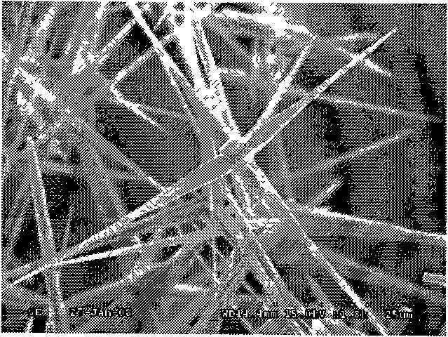 Method for preparing rigid three-dimensional crystal whisker interlayer modified continuous fiber composite material