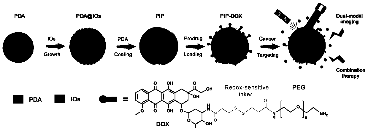 Polydopamine multi-level nano-drug carrier, and preparation method and application thereof