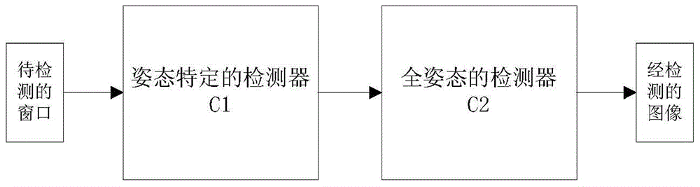 Face detection system and method for multi-pose faces