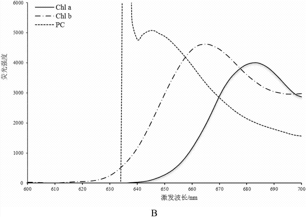 Method of improving blue algae in-situ detection precision by using anti-fluorescent interference decoupling algorithm