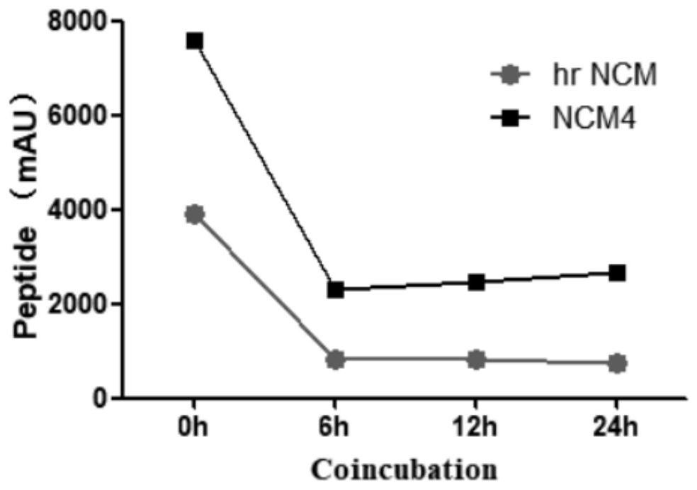 Antibacterial peptide hrNCM as well as preparation method and application thereof