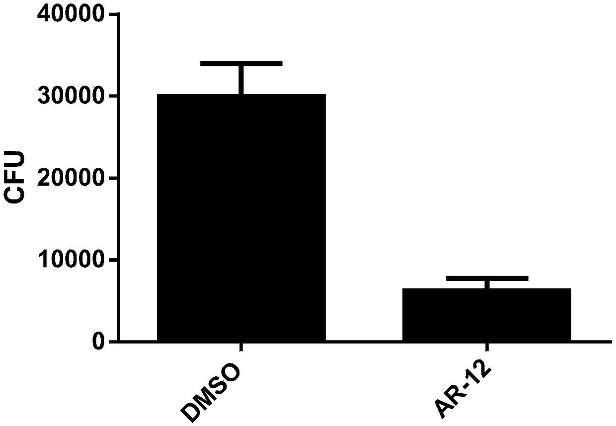 Application of celecoxib derivative OSU-03012 in preparation of anti-tubercle bacillus drugs