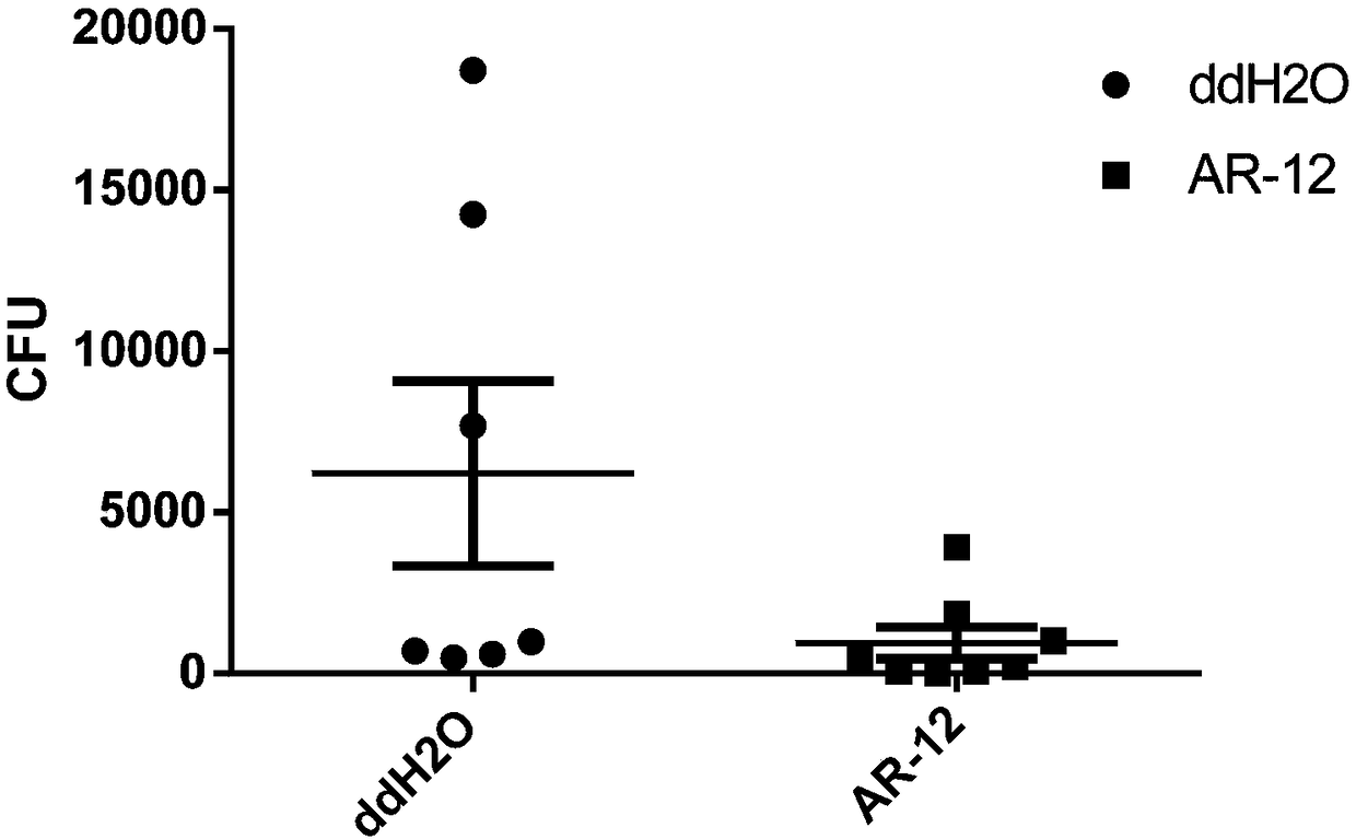 Application of celecoxib derivative OSU-03012 in preparation of anti-tubercle bacillus drugs