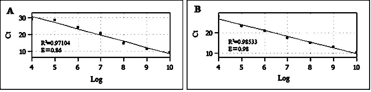 PCR specific primer and molecular beacon TaqMan probe combination for simultaneously detecting two anaplasma and detection method