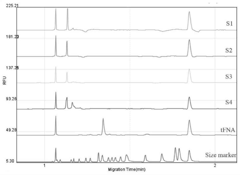 Application of tetrahedral framework nucleic acid in medicine for treating epilepsy