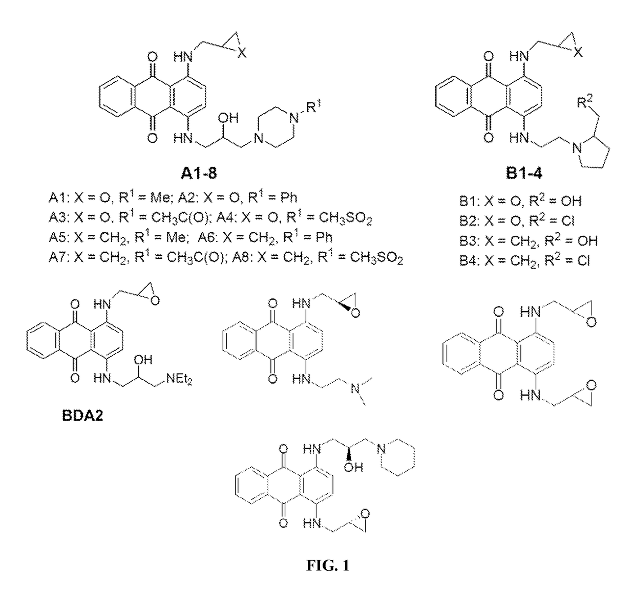 BH4 antagonists and methods related thereto