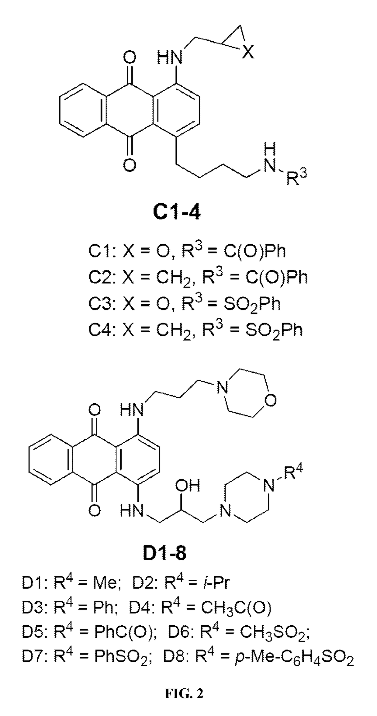 BH4 antagonists and methods related thereto