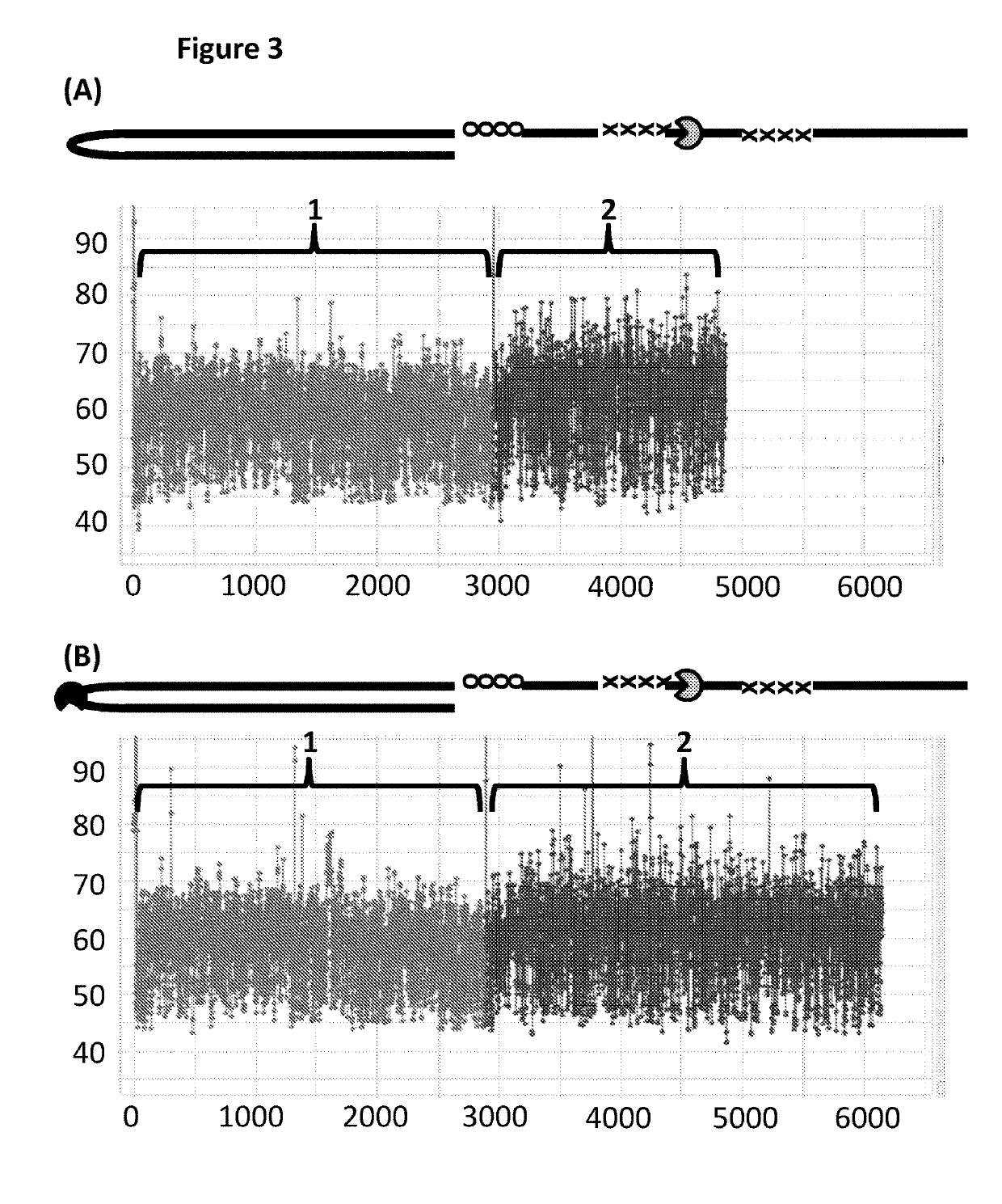 Method for controlling the movement of a polynucleotide through a transmembrane pore