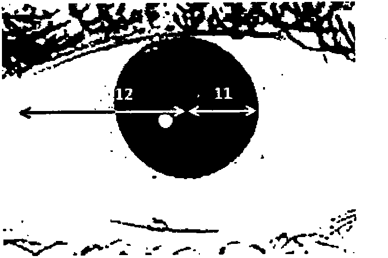 Device and method for iris recognition using a plurality of iris images having different iris sizes