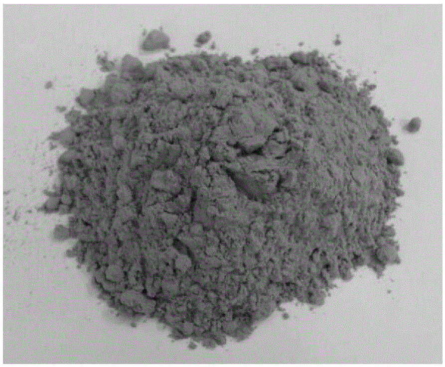 Industrial multistage communicated liquid fermentation method for bacillus cereus preparation for dissolving oscillatoria in pond