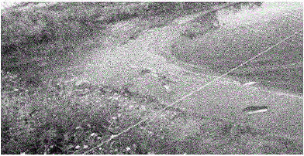 Industrial multistage communicated liquid fermentation method for bacillus cereus preparation for dissolving oscillatoria in pond