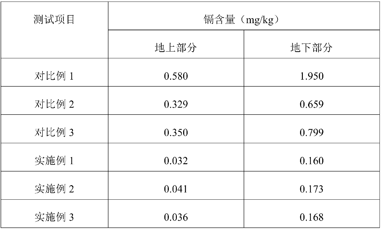 Biologicalremediation agent forcadmium pollution and preparation method thereof