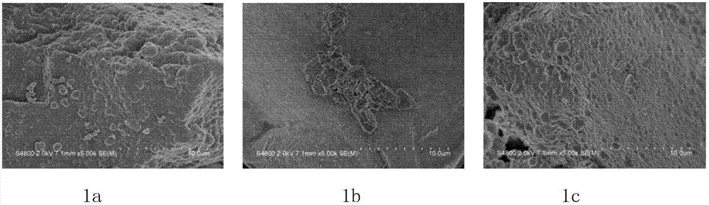 Preparation method for cinnamaldehyde surface molecularly imprinted polymer