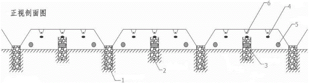 Wide-ridge platform Vigna radiate L.Wilclzek cultivation method