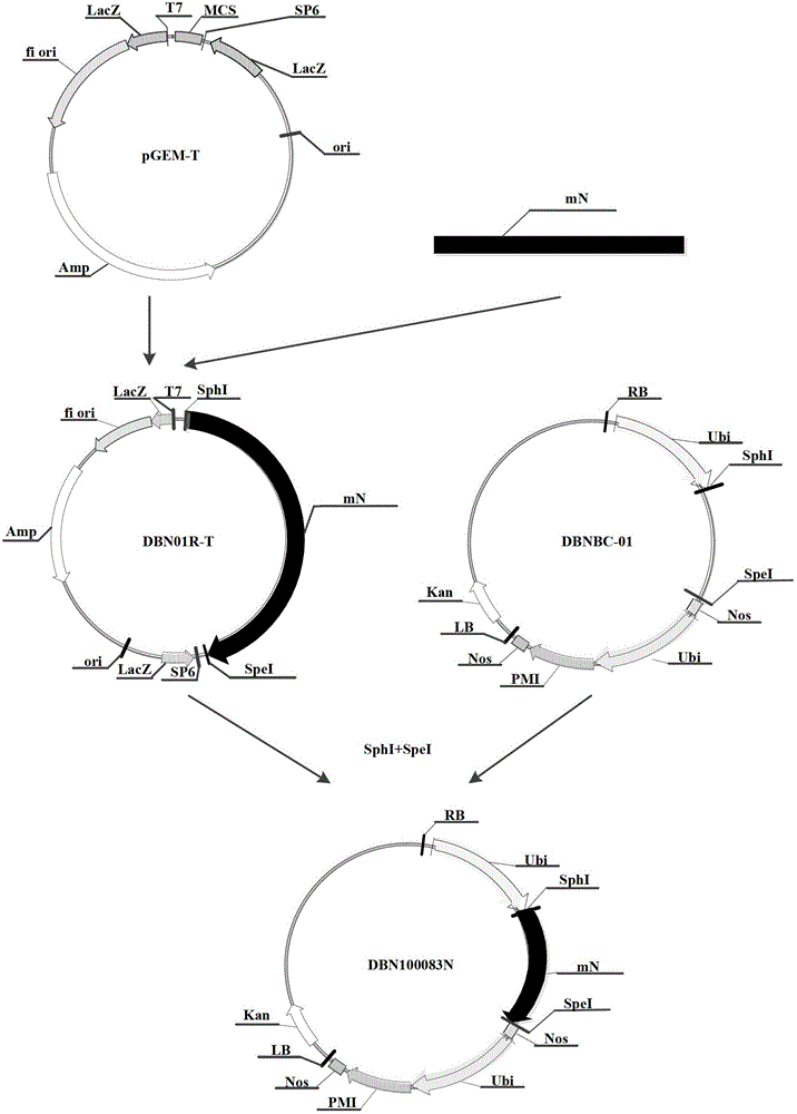 Insecticidal protein, and coding gene and use thereof