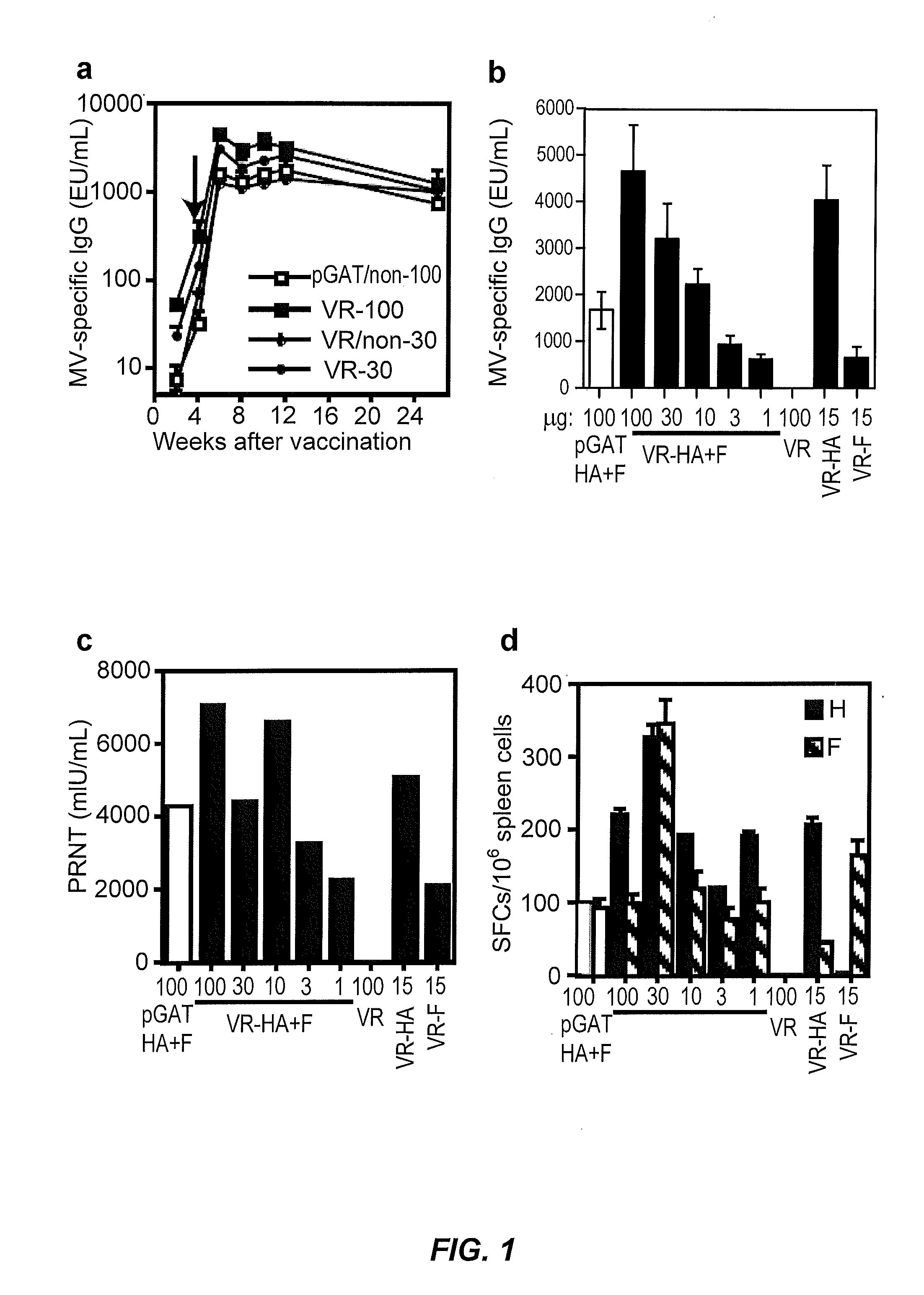 Methods of treating measles infectious disease in mammals