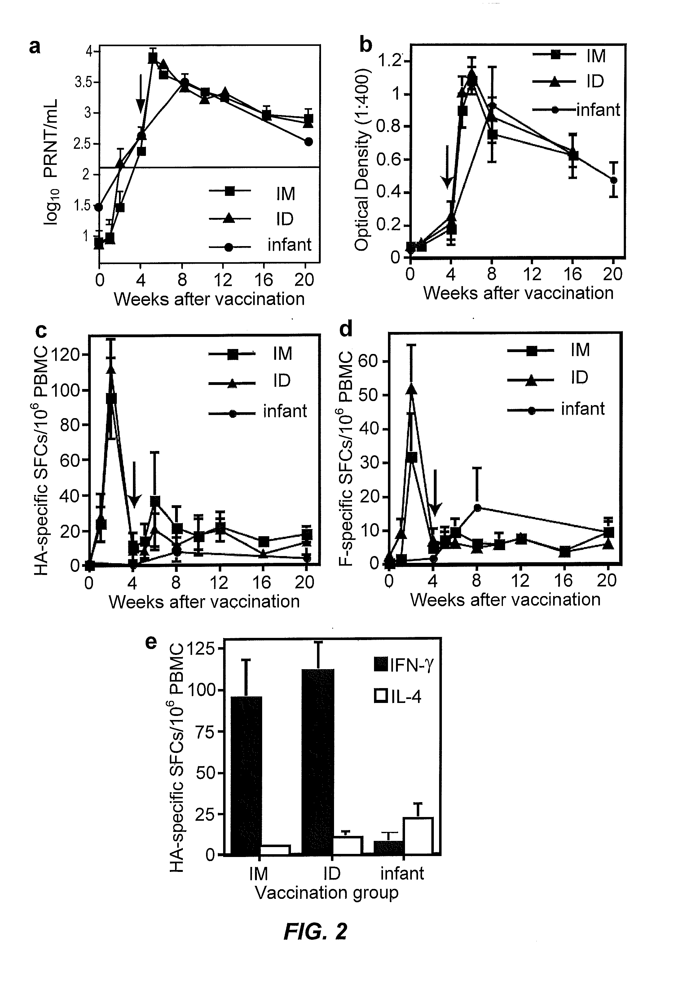 Methods of treating measles infectious disease in mammals