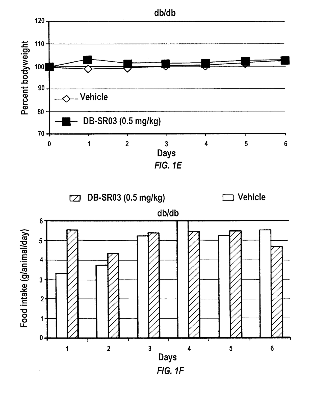 Hsp90 inhibitors for the treatment of obesity and methods of use thereof