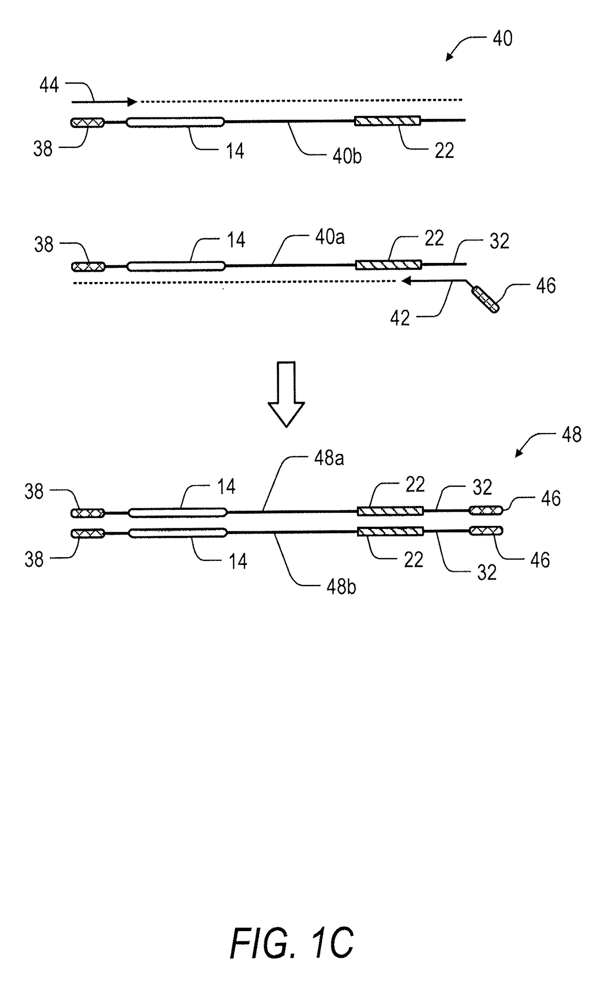 System and method for transposase-mediated amplicon sequencing