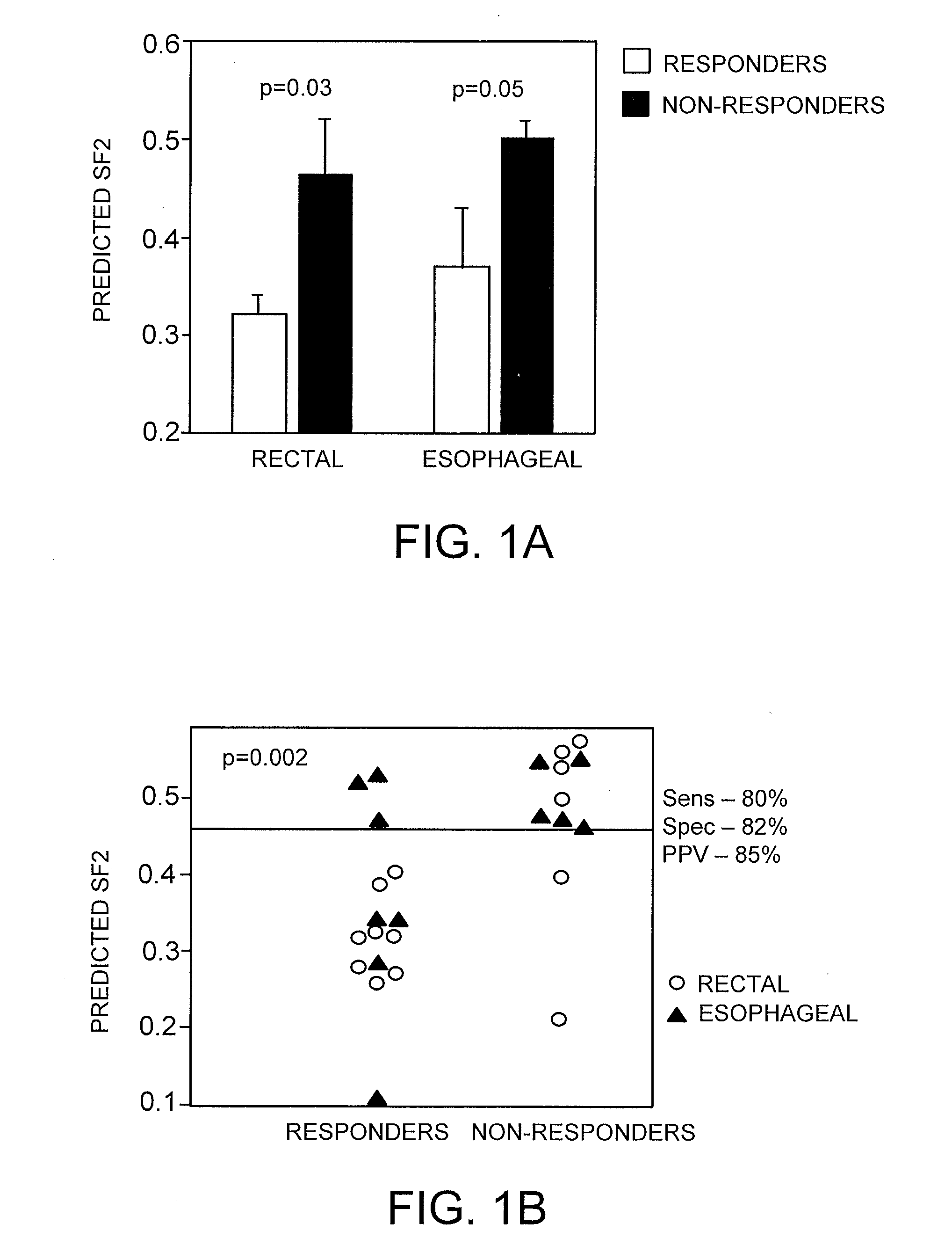 Gene Signature for the Prediction of Radiation Therapy Response