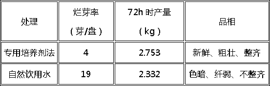 Production method of organic sprouts of small black bean