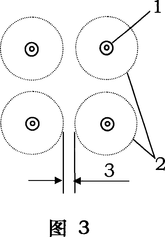 Method for pruning and training tree for four-tree and fleaban growing planting type forestation