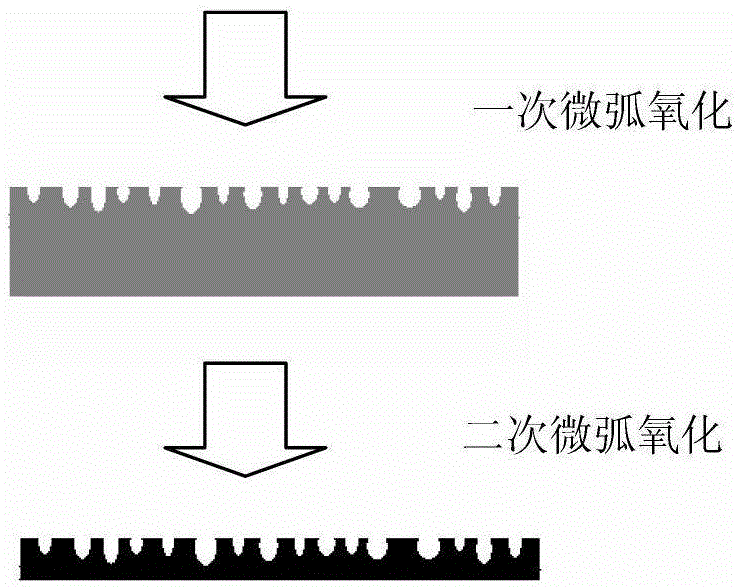 Method for preparing bioactive micro-arc oxidation ceramic coating with macroscopic/microscopic dual-stage pore structure by two-step method on medical titanium surface