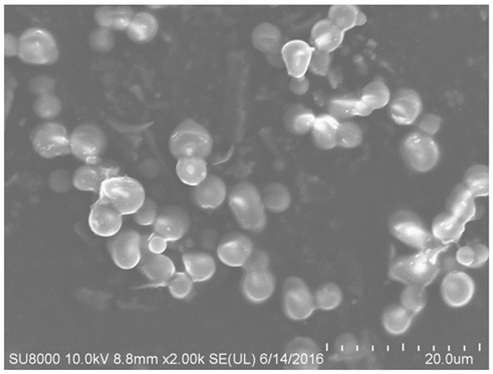 Preparation method and application of magnetic activated hydrothermal biochar microspheres