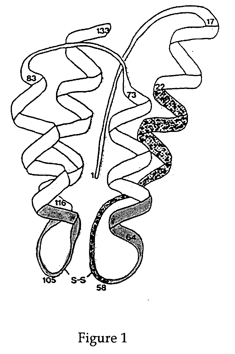 Interleukin-2 mutants with reduced toxicity