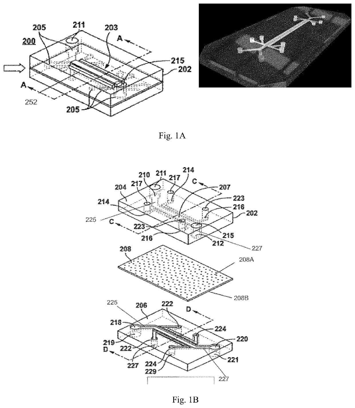 Intestine-chip: differential gene expression model