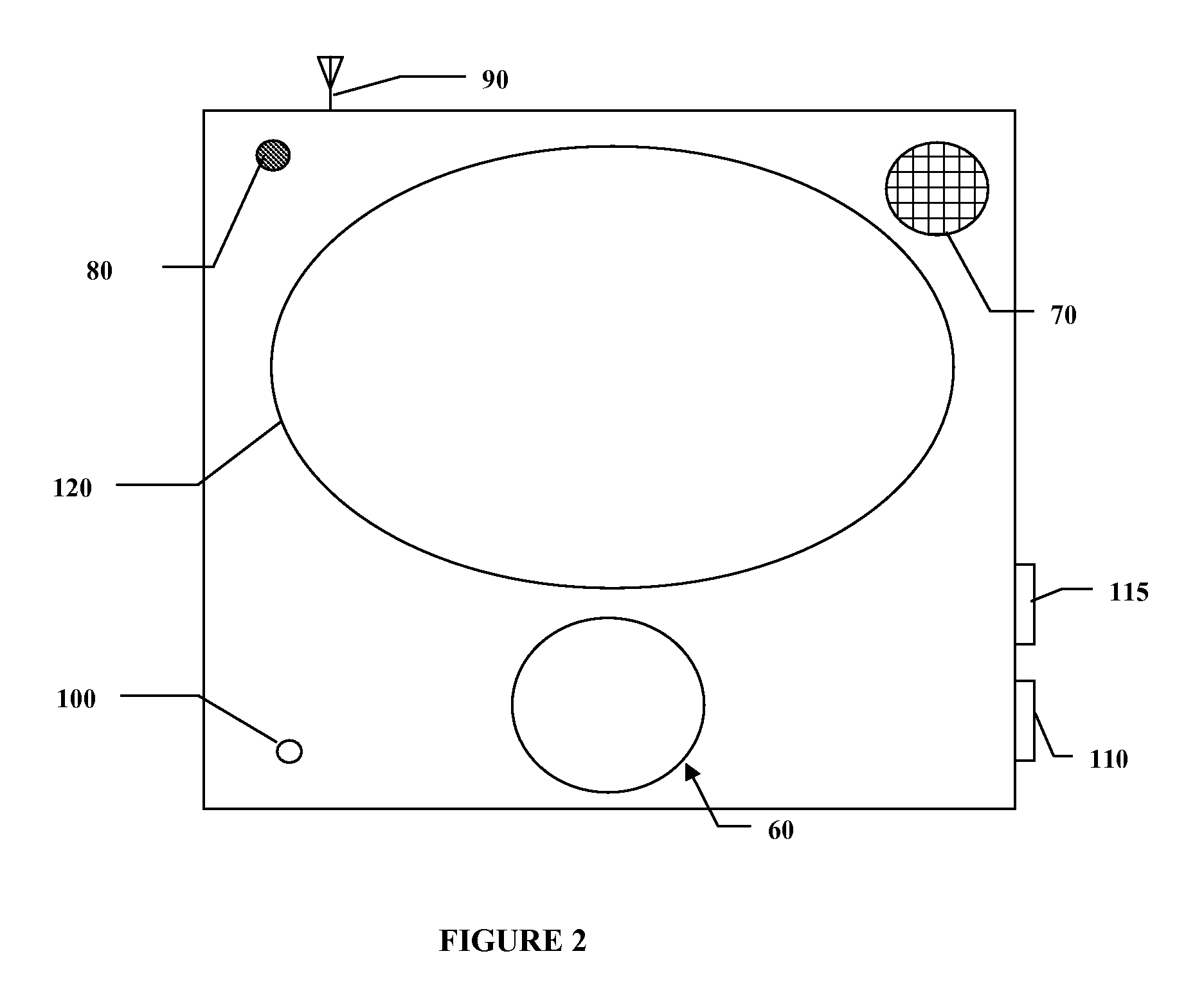 Remote wellness monitoring system with universally accessible interface