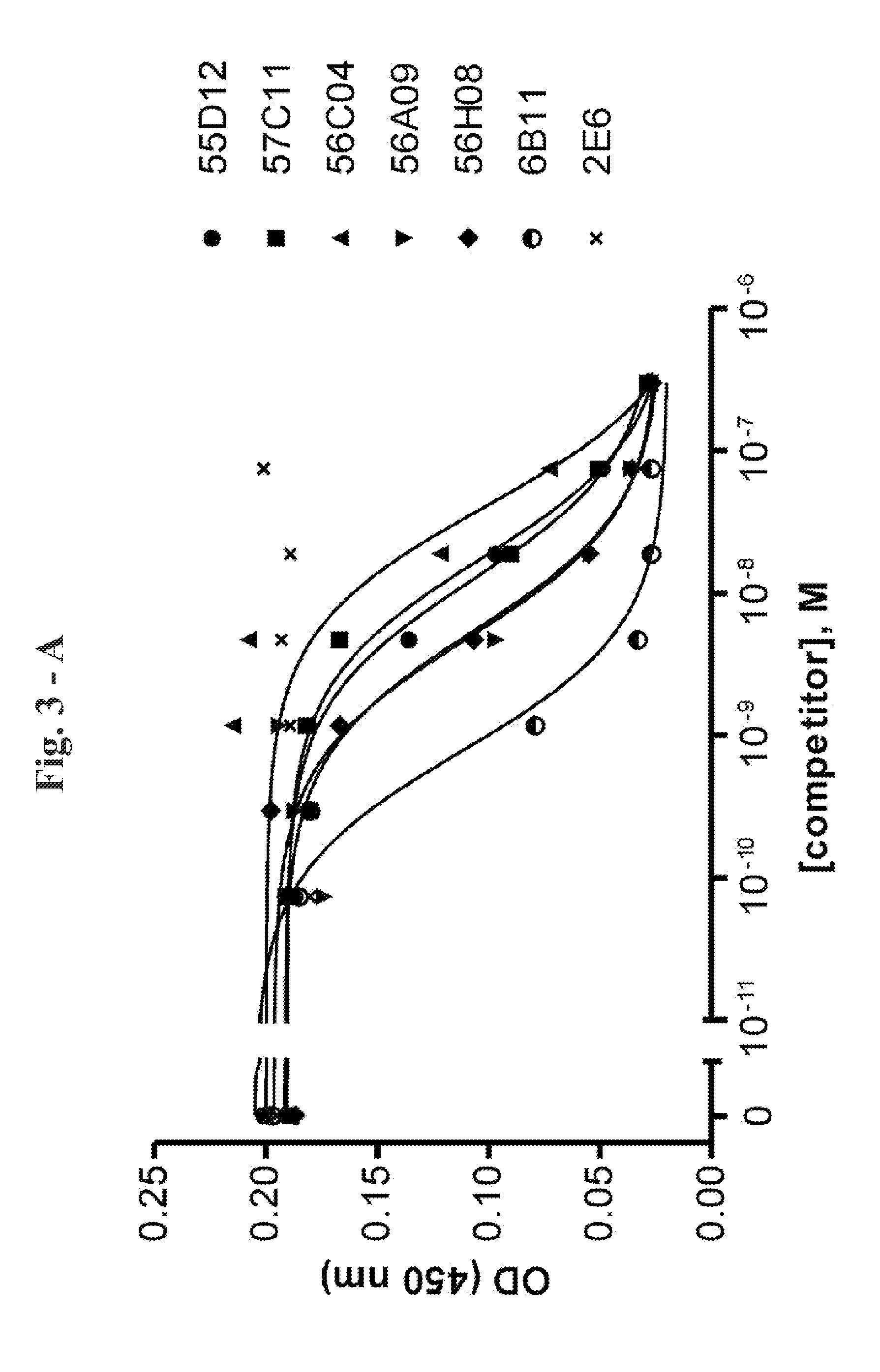 Bispecific binding molecules for Anti-angiogenesis therapy