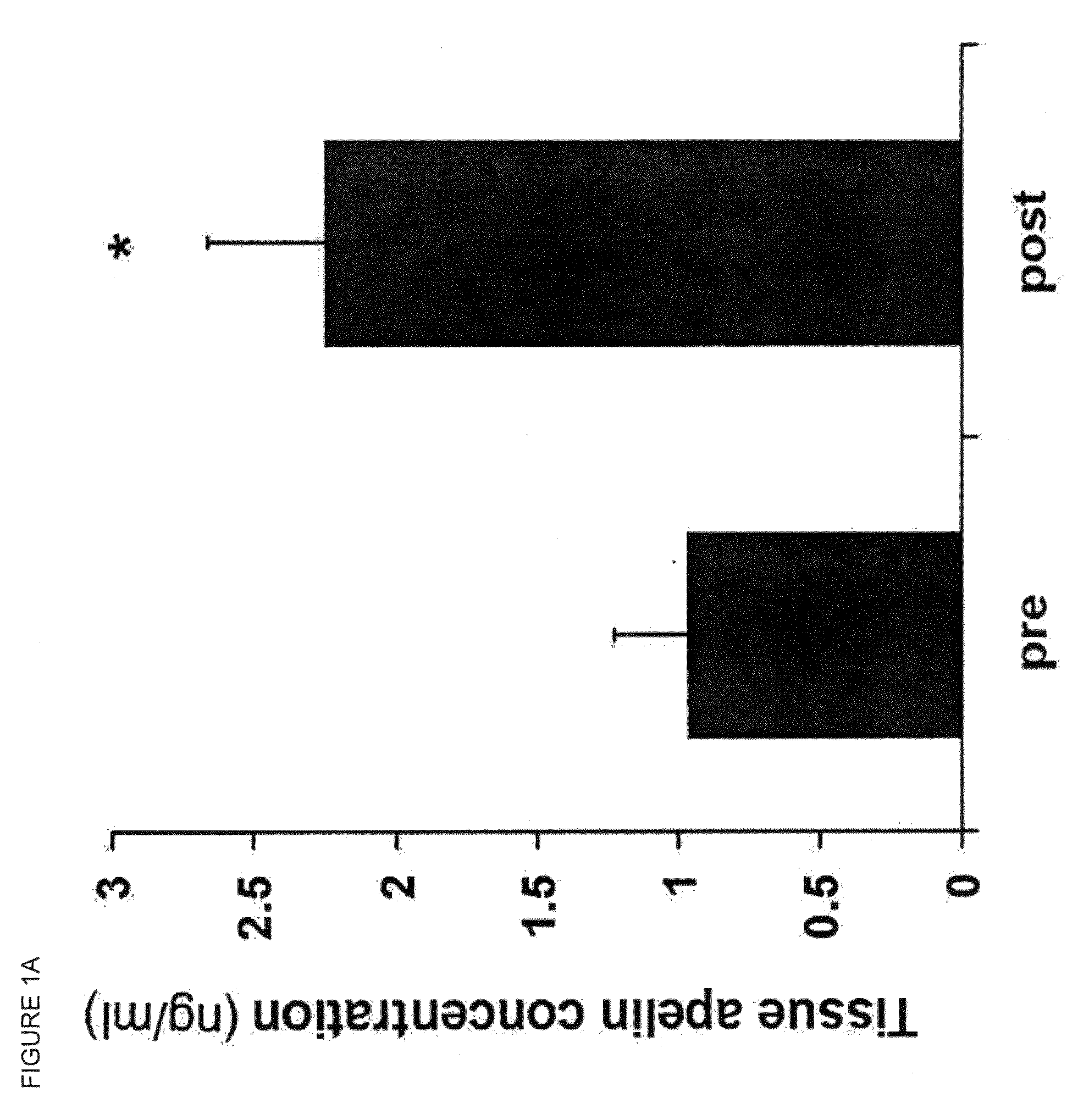 Apelin and uses thereof