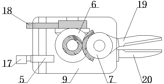 Pecan picking machine