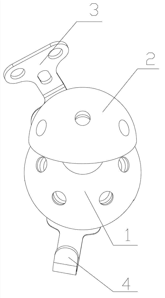 Improved acetabulum cup